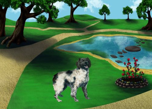 Dogs for sale: adopt a dog