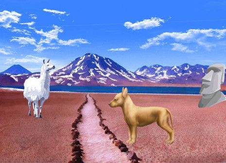 Adopt a dog like no other: the Peruvian Hairless Dog!