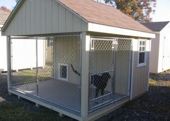 Breeding kennel, two dogs pair to mate